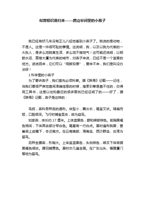 似曾相识燕归来——唐诗宋词里的小燕子