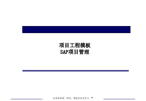 SAP项目管理