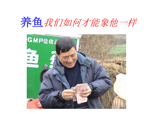 流水健康养鱼