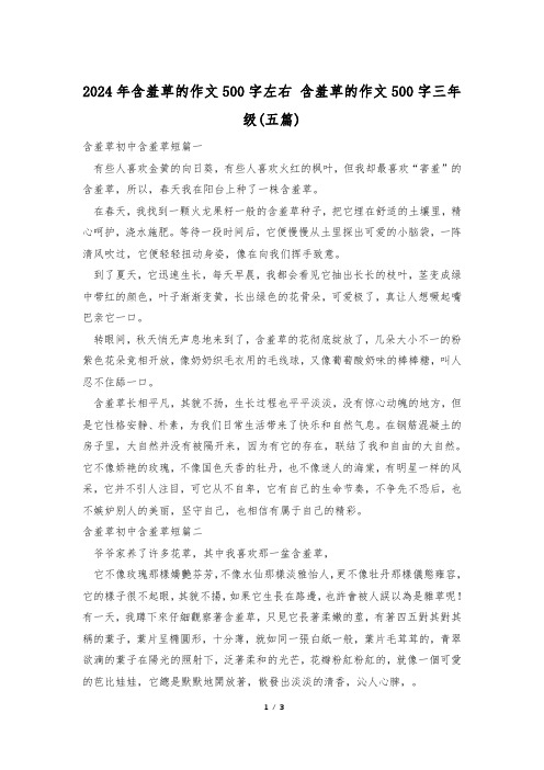 2024年含羞草的作文500字左右 含羞草的作文500字三年级(五篇)