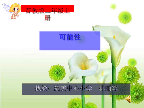 二年级上册《可能性》ppt