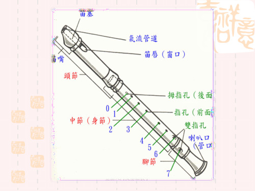 竖笛入门及基础教学