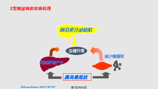 口服降糖药护理PPT课件