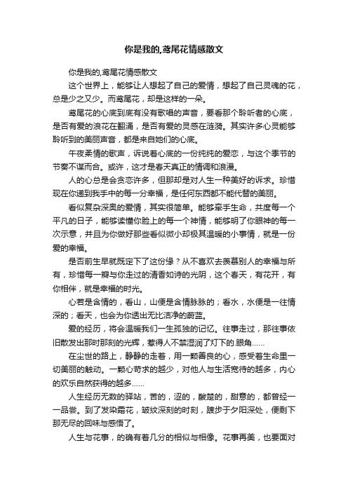 你是我的,鸢尾花情感散文