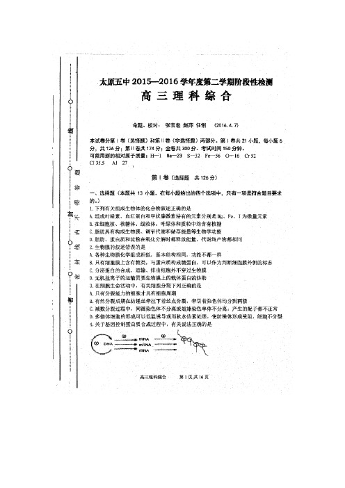 2016届高三4月阶段性检测(模拟)理科综合生物试题(扫描版)(附答案)
