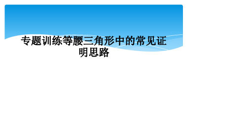 专题训练等腰三角形中的常见证明思路