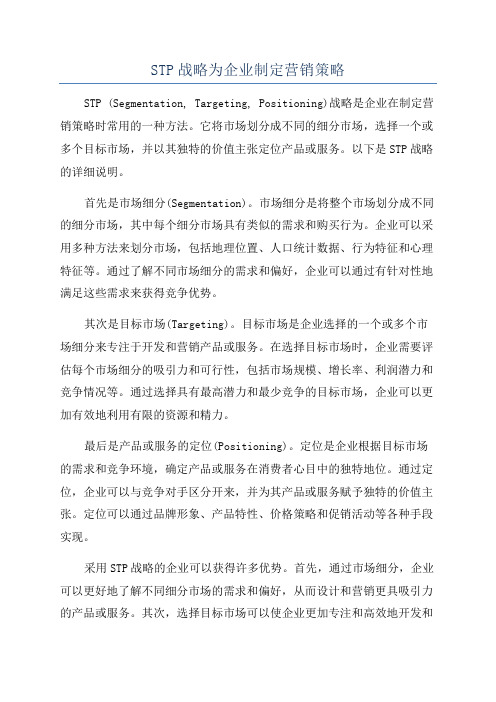 STP战略为企业制定营销策略