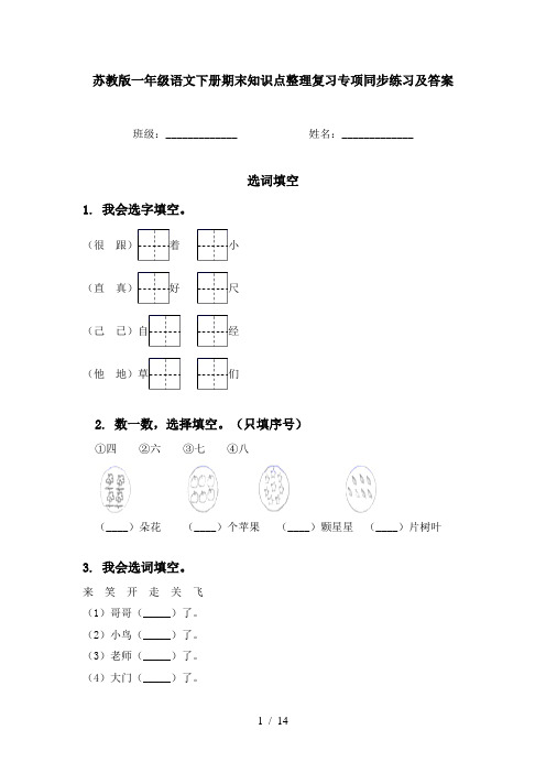 苏教版一年级语文下册期末知识点整理复习专项同步练习及答案