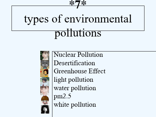 七大环境污染类型 PPT