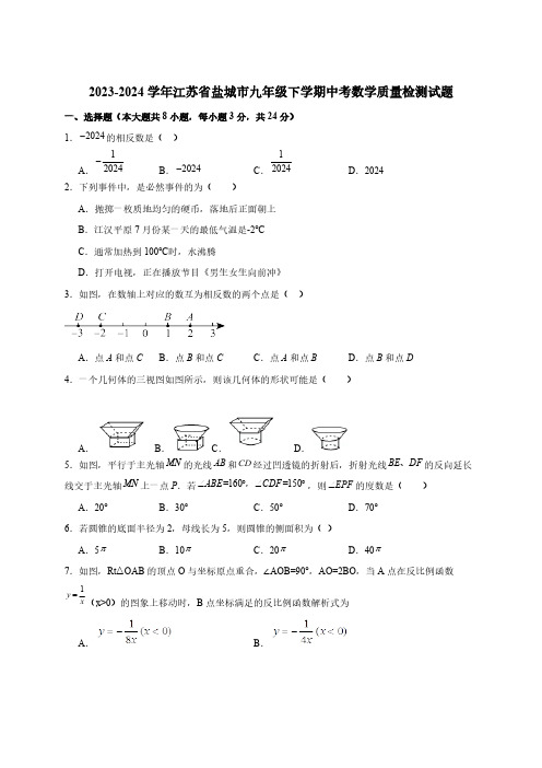 2023-2024学年江苏省盐城市九年级下册中考数学质量检测试题(附解析)