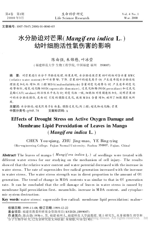 水分胁迫对芒果幼叶细胞活性氧伤害的影响