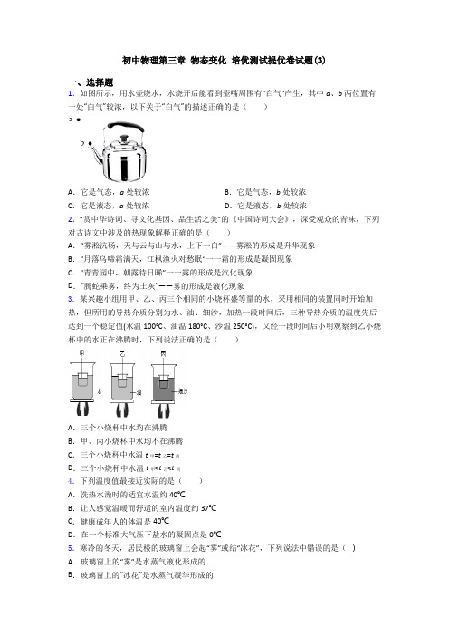 初中物理第三章 物态变化 培优测试提优卷试题(3)