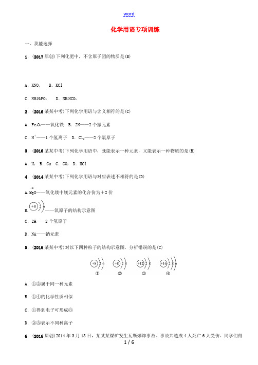 (青海专版)中考化学命题研究 化学用语专项训练-人教版初中九年级全册化学试题