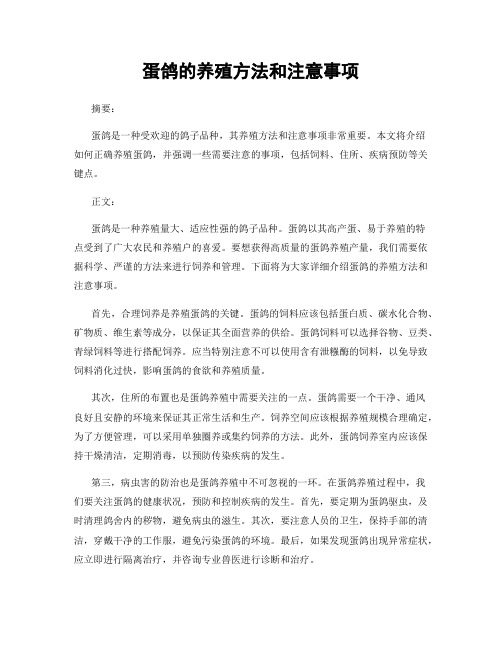 蛋鸽的养殖方法和注意事项