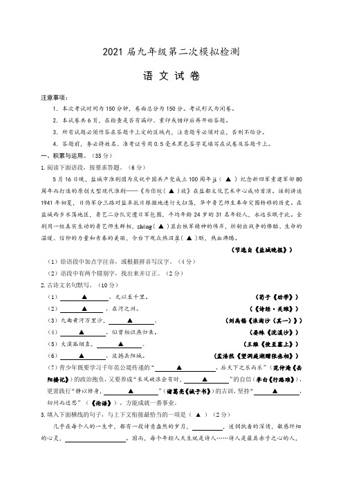 江苏省盐城市大丰区、盐都区2021届九年级下学期第二次模拟考试语文试题及参考答案