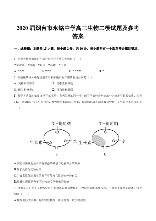 2020届烟台市永铭中学高三生物二模试题及参考答案