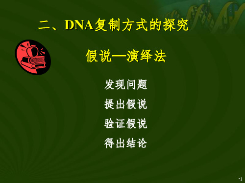 DNA半保留复制的证据PPT课件