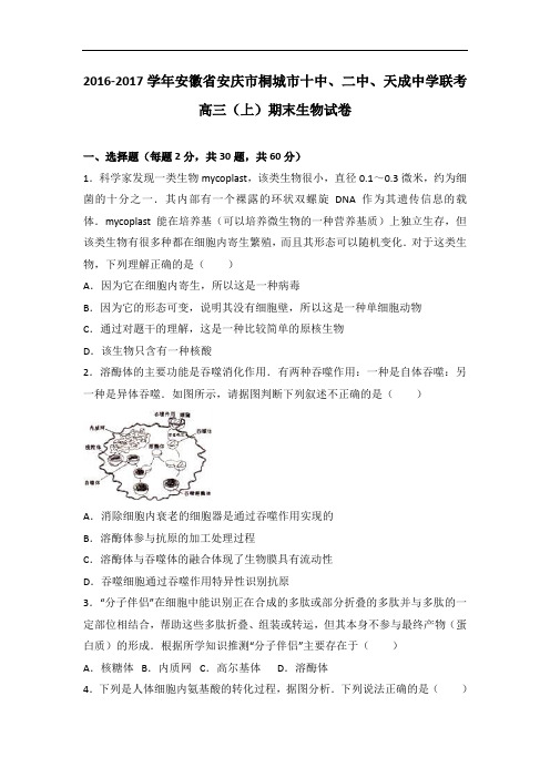 安徽省安庆市桐城市十中、二中、天成中学联考2017届高三上学期期末生物试卷 Word版含解析