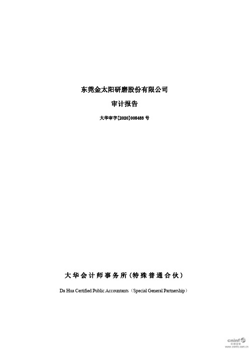 金太阳:2019年度审计报告