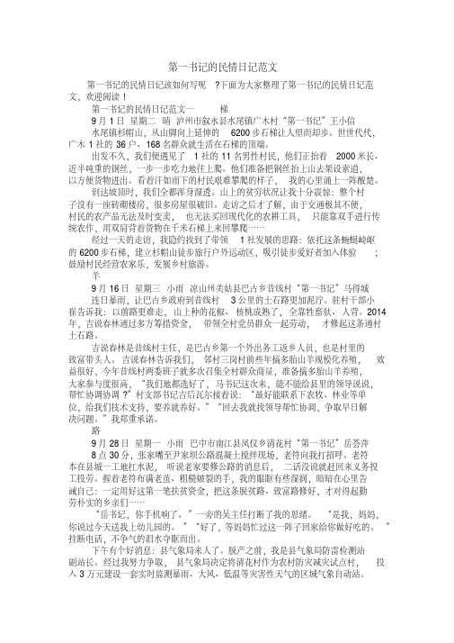 第一书记的民情日记范文