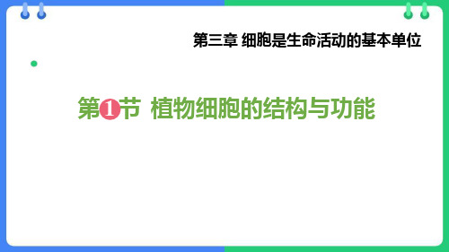 人教版七年级上册生物第三章 细胞是生命活动的基本单位 第一节 植物细胞的结构与功能