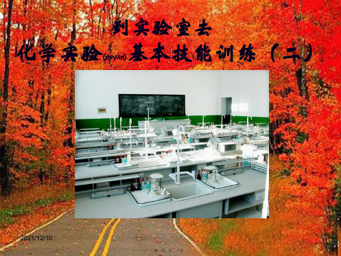 九年级化学上册 第二单元 化学实验基本技能训练(二)课件