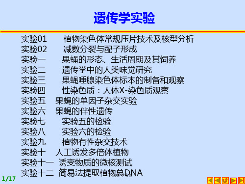 遗传学实验课件