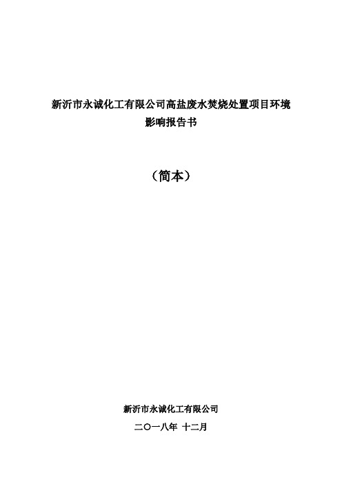 新沂市永诚化工有限公司高盐废水焚烧处置项目环境影响报告书