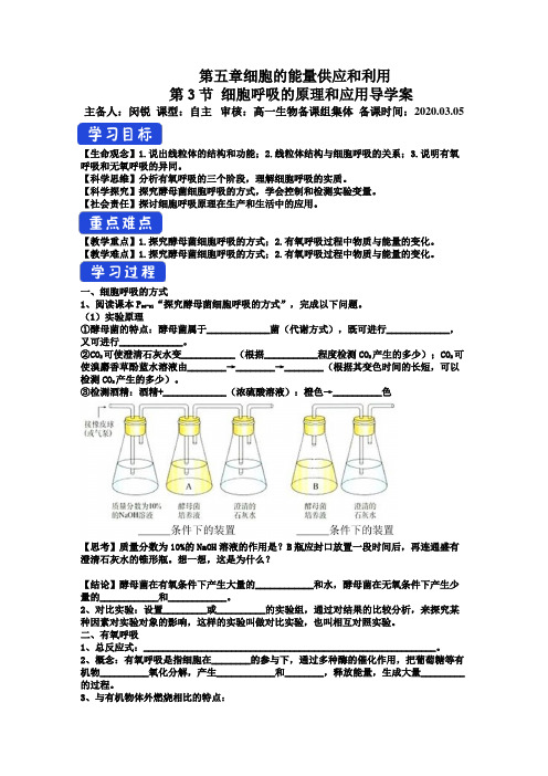 5.3 细胞呼吸的原理和应用 导学案 【新教材】人教版(2019)高中生物必修一