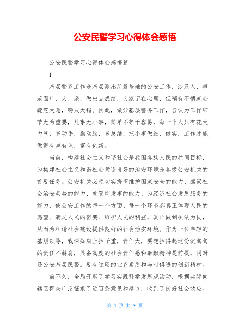 公安民警学习心得体会感悟