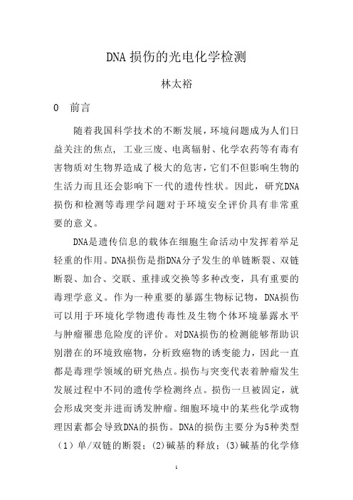 DNA损伤的光电化学检测