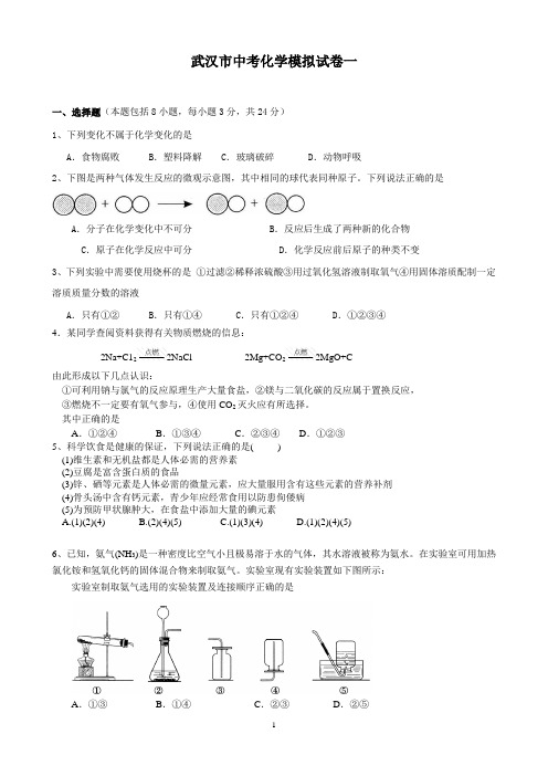 2013年武汉市中考化学模拟试卷一