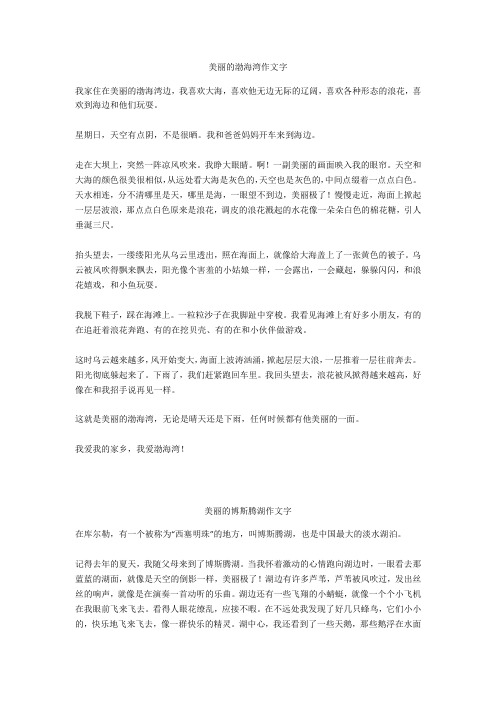 美丽的博斯腾湖作文400字