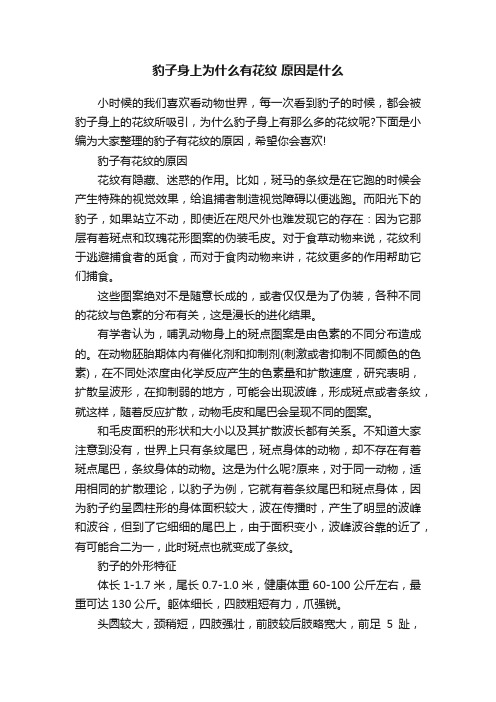 豹子身上为什么有花纹原因是什么