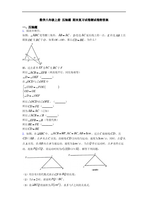 数学八年级上册 压轴题 期末复习试卷测试卷附答案