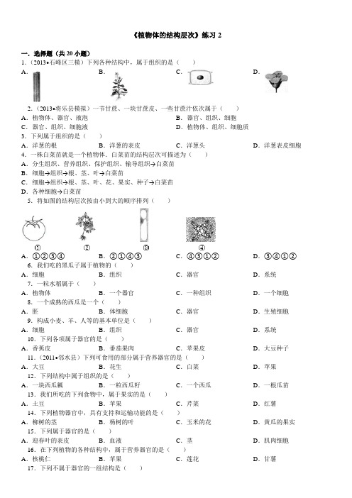 七年级生物上册植物体结构层次练习