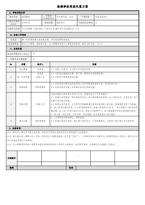 淹溺事故现场处置方案模板