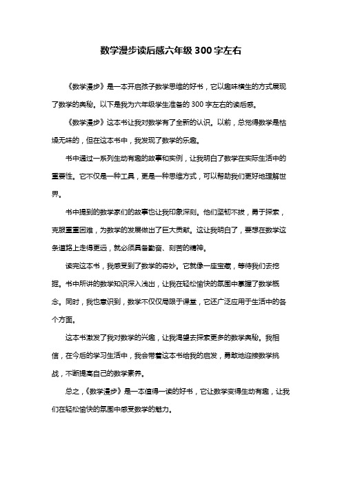 数学漫步读后感六年级300字左右