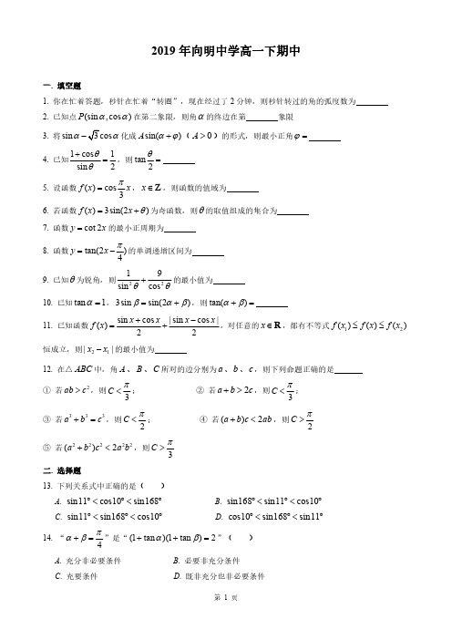 2019年上海市向明中学高一下数学期中测试