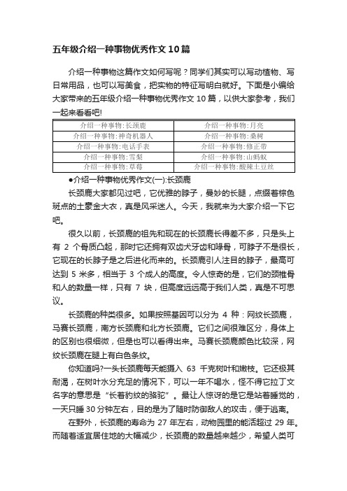 五年级介绍一种事物优秀作文10篇