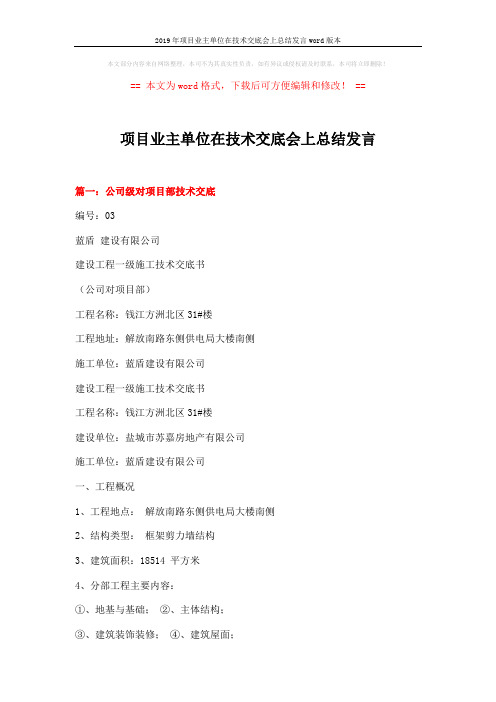 2019年项目业主单位在技术交底会上总结发言word版本 (6页)