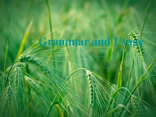 Unit 1 Advertising Grammar课件 牛津译林版必修4课件