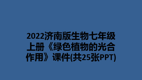 2022济南版生物七年级上册《绿色植物的光合作用》课件(共25张PPT)