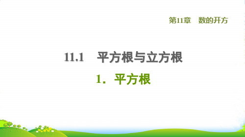 2022八年级数学上册第11章数的开方11.1平方根与立方根1平方根课件新版华东师大版79