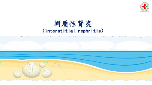 最终间质性肾炎 吉林大学五年制泌尿系统课件