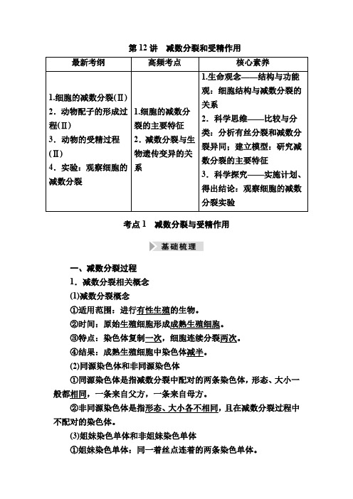 第12讲 减数分裂和受精作用