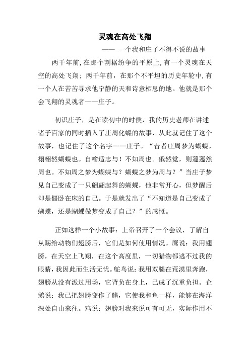 灵魂在高处飞翔!