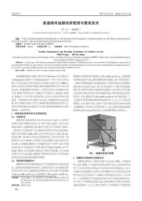 普通棉耳狨猴饲养管理与繁育技术