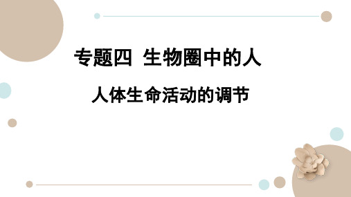 生物中考复习专题四(五)人体生命活动的调节