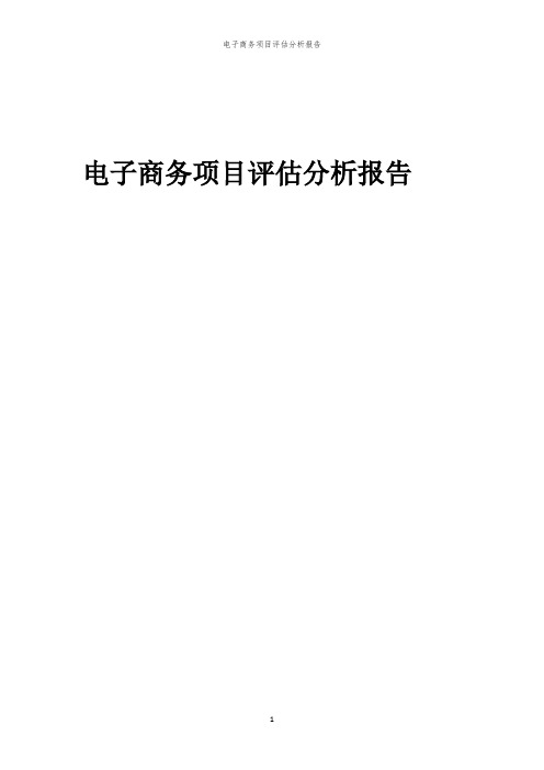 2023年电子商务项目评估分析报告